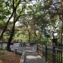 영축산순환산책로(유아숲) 이미지