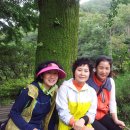 평촌중학교 이미지