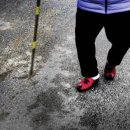 사랑이꽃피는약국 이미지