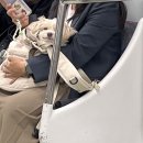 친구네조개구이횟집 이미지