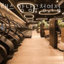 하이랙스 이미지