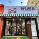 달쥬(DALJU) 이미지