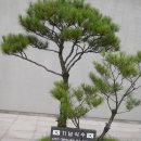 창락 이미지