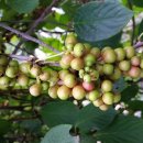 유경농장 이미지