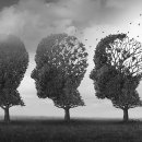 노형365준의원 이미지