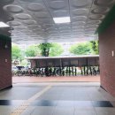 로얄헤어샾 - 성북구 | 로얄헤어샾