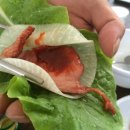 중문카라반 이미지