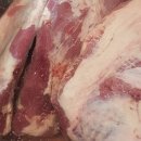 육대장 하양점 이미지