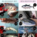 광성호