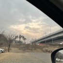 명선꽃집 | 2주전 예약성공해서 다녀온 강가자리 와이키키마켓 후기 | 서천동꽃집 . 수원꽃집. 영통꽃집. 테이크데이지