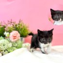 씨사이드모텔1 이미지