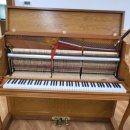 구지초등학교 이미지