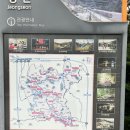 도사곡휴양림야영장 | 서울에서 1박 2일 떠나기 좋은 여행지, 정선 [도사곡 휴양림 캠핑장] 기차여행 후기