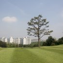 부국티엔씨(주)