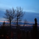 달리다꿈 이미지