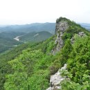곡성-165 Daum카페