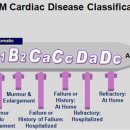 도촌동물병원 이미지