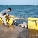 제주시 외도동 주민센터 이미지