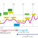 제15회 여수마라톤(2020-01-12) 이미지