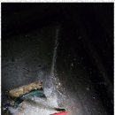 생활 속 도예 | 군포해빙 생활 속 골칫덩이 해결 후기