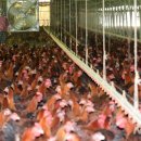 기승농장 이미지