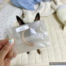 댕댕반점 이미지