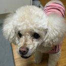 세리목장 이미지