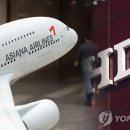 디플랜성