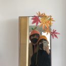 아이언브로 네이버블로그