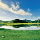 양지고속주유소 이미지