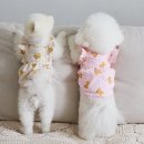 펫츠미 쇼핑하우