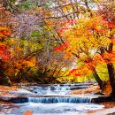 (주)수앤아이 이미지