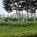 신길선사유적지 이미지