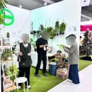 상 생 | 2024 양재 플라워 페스타 일-상 꽃 생-활 (11.15-17) 후기