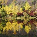 충남 계룡시, 입암(立巖) 저수지 단풍 이미지