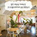 일산 대화동 카페추천 코스모플라워카페 솔직 방문후기