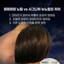 퍼플퍼피 | 목포 미용실 붙임머리 19만 원으로 단발 탈출하고 여신 박제한 후기