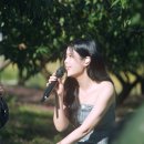 맥스그룹(MAX Group) 이미지