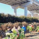 봉산농장 이미지