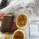 세븐일레븐 종암동덕기숙사점 | [포켓몬빵]새벽사냥 및 오픈런 후기