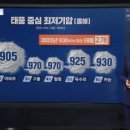 더 오래 살고 더 강해졌다‥0.6% 확률 뚫은 독한 태풍 이미지