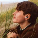 베오 베오 이미지