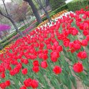 원신근린공원 이미지