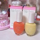 제스트(501) 이미지