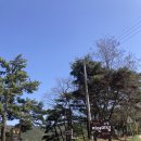 고창산자 | 고창 자연마당 숲 놀이터가 있어서 고창 아이랑 가볼만한 곳