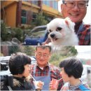 사랑꽃집 이미지