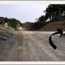 주천삼거리주유소 이미지