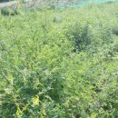 (주)정선환경 이미지