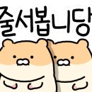 샌드닉 이미지