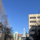 문산부인과의원 | 송파구 산부인과_포유문산부인과의원 산전검사 후기 &amp; 송파구 브런치 카페 &lt;잉클링&gt;_e보건소 임신 사전...
